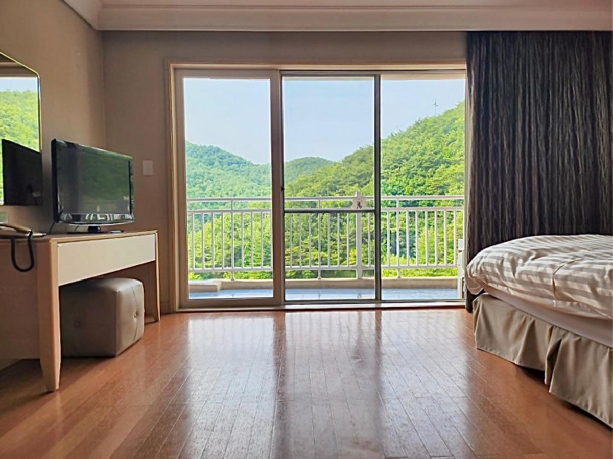 Hotel Sono Belle Danyang Pokoj fotografie