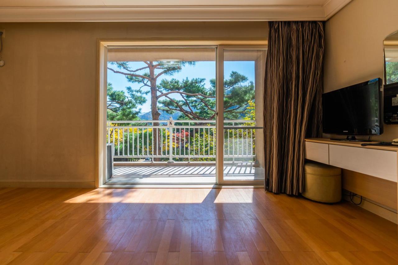 Hotel Sono Belle Danyang Exteriér fotografie